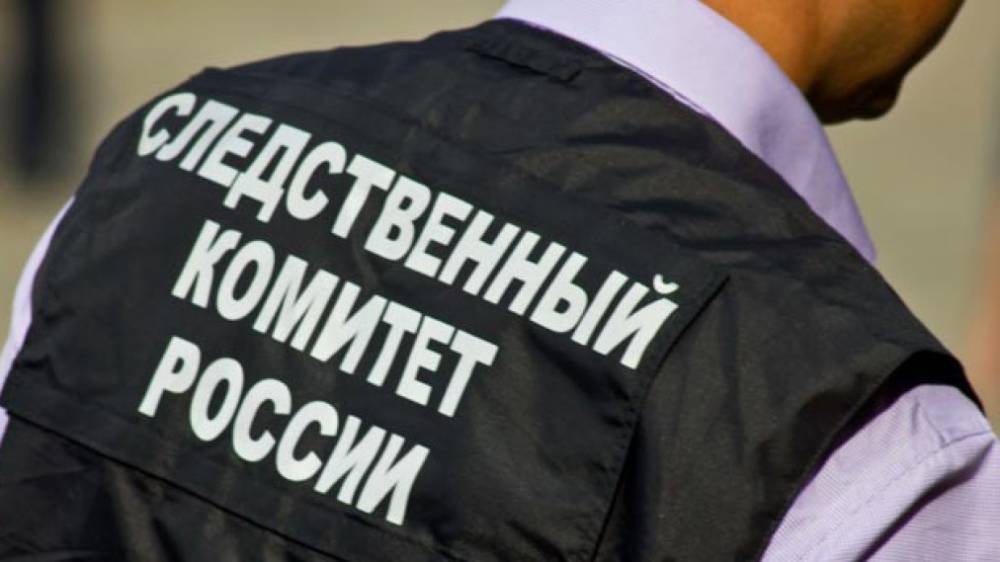СК РФ установил причастность командира ВСУ к обстрелу сотрудников ОБСЕ и журналиста