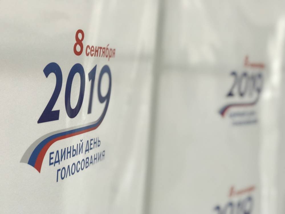 Два иностранных эксперта будут дежурить на губернаторских выборах в Петербурге