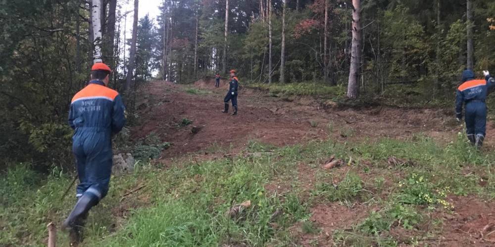 Пропавшую в лесу Вологодчины 2-летнюю девочку нашли живой