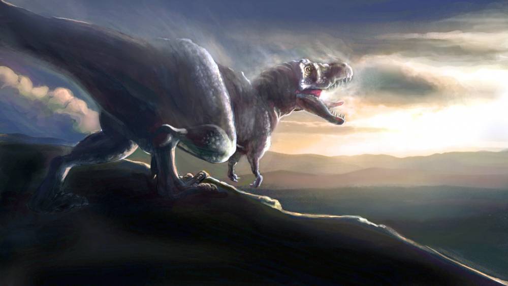Тираннозавр Рекс имел в черепе своего рода «кондиционер»