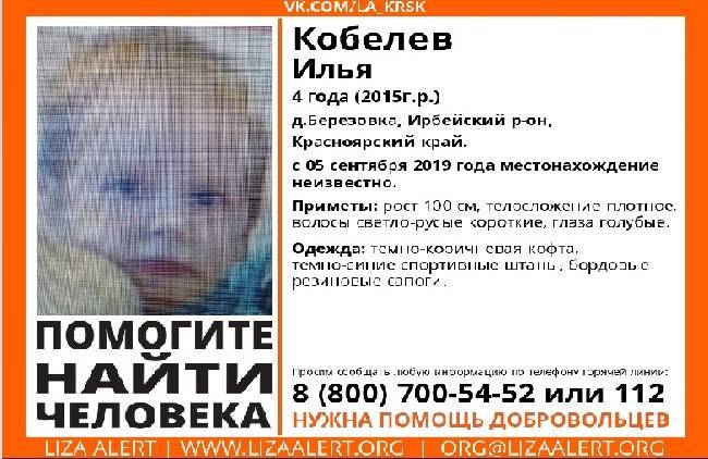 Более 300 человек ищут пропавшего мальчика в Красноярском крае