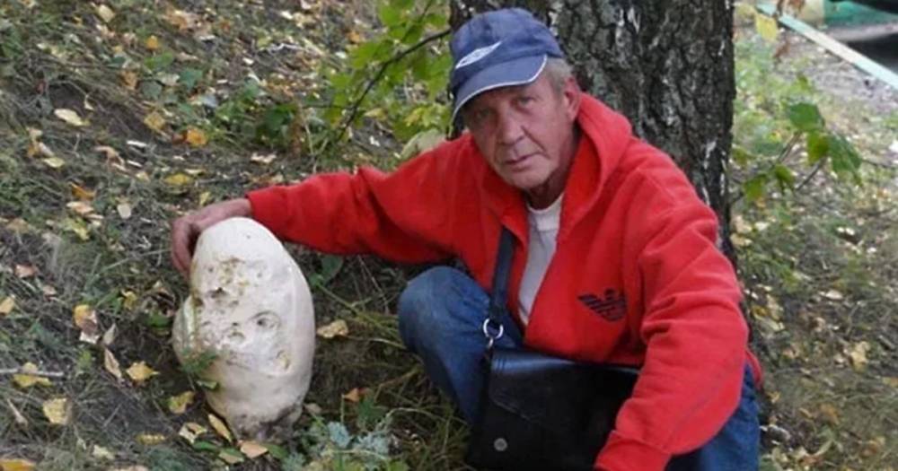 Под Москвой нашли гигантский гриб