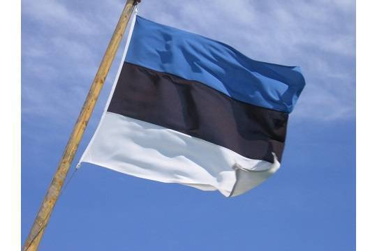 В Эстонии ведут подготовку к нашествию «зеленых человечков»