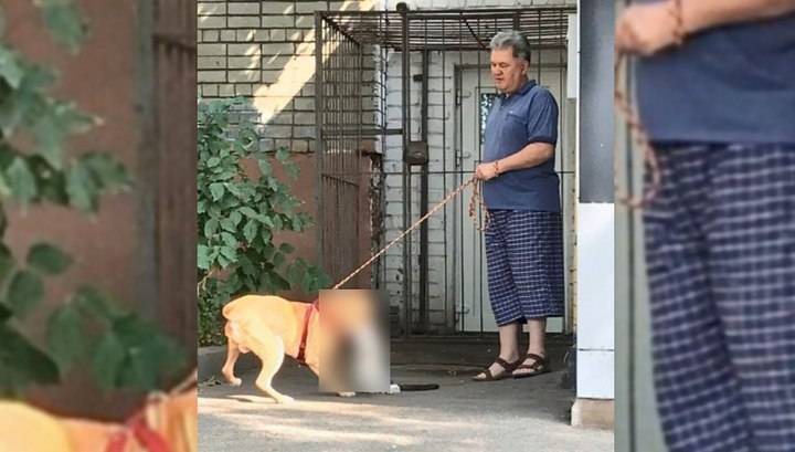 Хозяин пса устроил жестокую расправу над кошкой у подъезда дома в Курске