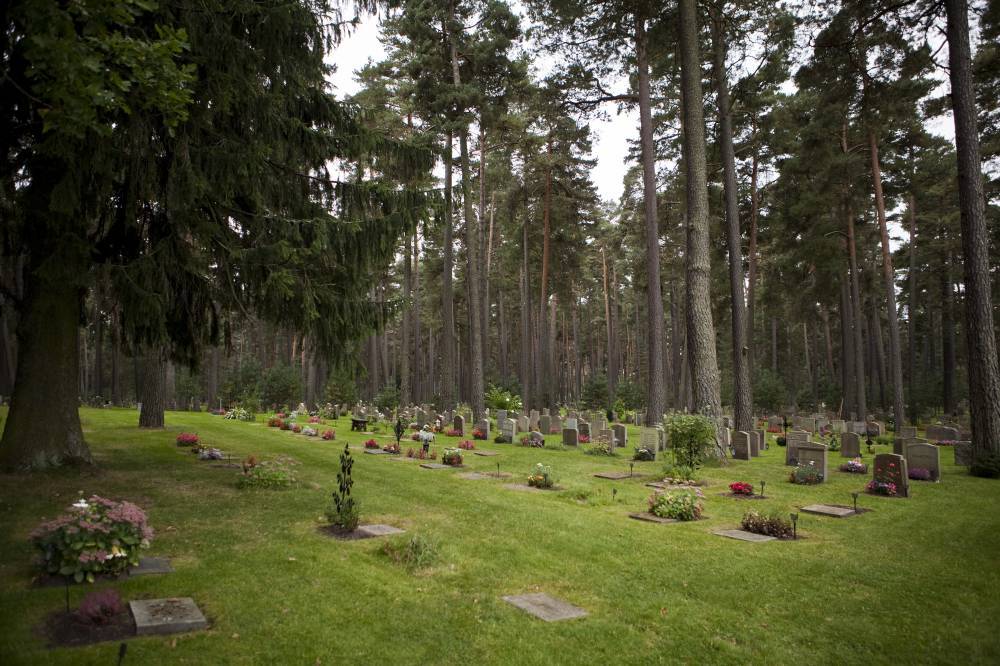 На хабаровском кладбище нашли повешенный скелет человека