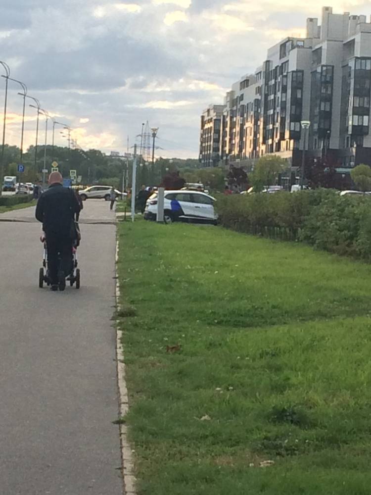 Автоледи на каршеринге сбила пятилетнего ребенка в Петербурге