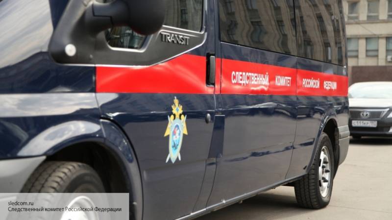 СК сообщил об обнаруженных в петербургском штабе Навального фальшивых бюллетенях