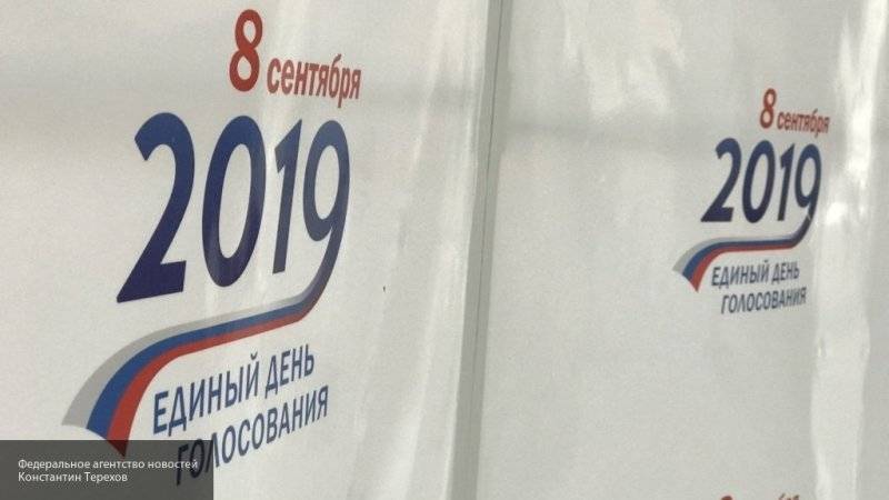 Голосование на 105-й УИК в Петербурге проходит без замечаний, заявила Гладких
