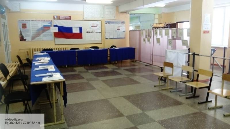 Представители СПЧ и общественных палат ведут мониторинг голосования в 12 регионах РФ
