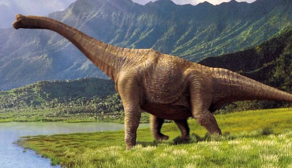 Крупный скелет динозавра найден в Японии