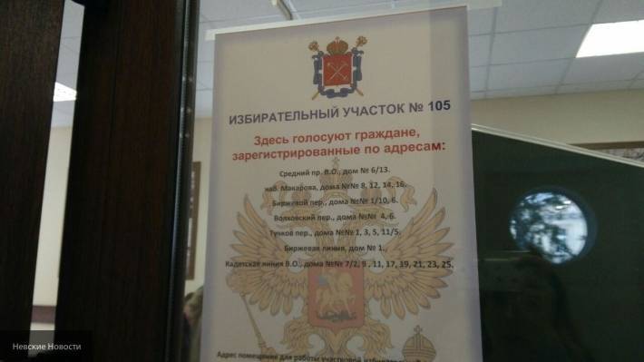 Отсутствие нарушений на УИК 105 в Петербурге подтвердили голосовавшие горожане