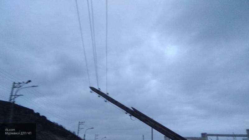 Около 24 тысяч жителей Приморья столкнулись с отключением электричества из-за непогоды
