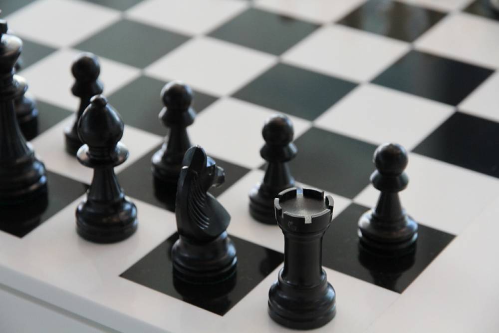 В Приморском районе открылся набор детей в шахматную секцию