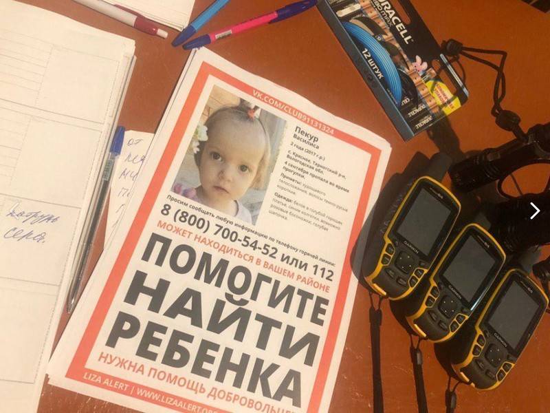 На мать пропавшей в лесу Вологодской области девочки завели уголовное дело