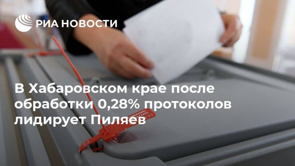 В Хабаровском крае после обработки 0,28% протоколов лидирует Пиляев