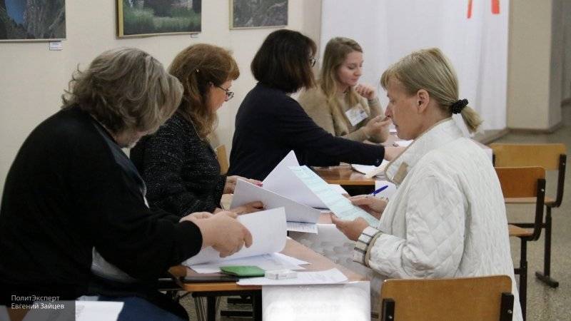 Член СПЧ Поляков заявил, что выборы в Петербурге близки к идеальным