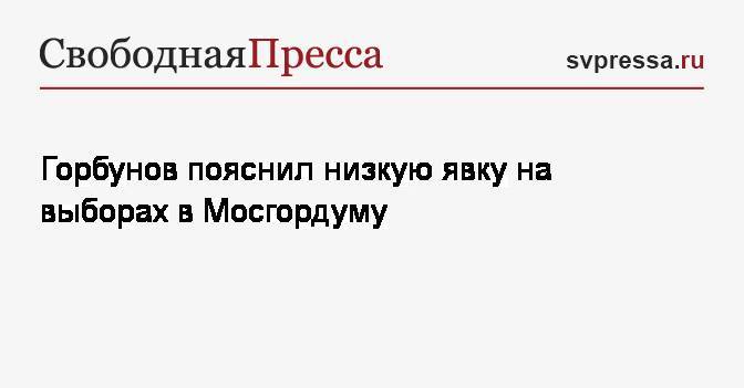 Горбунов пояснил низкую явку на выборах в Мосгордуму