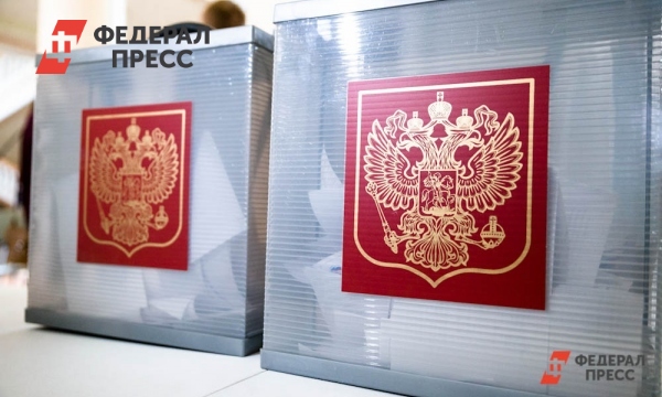 Корпус «За чистые выборы» не обнаружил нарушений на участках Петербурга
