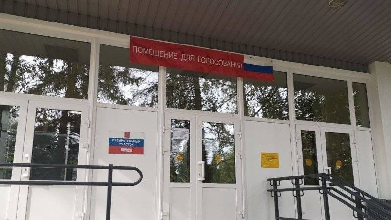 Эксперт Панов заявил о качественном проведении выборов в Санкт-Петербурге