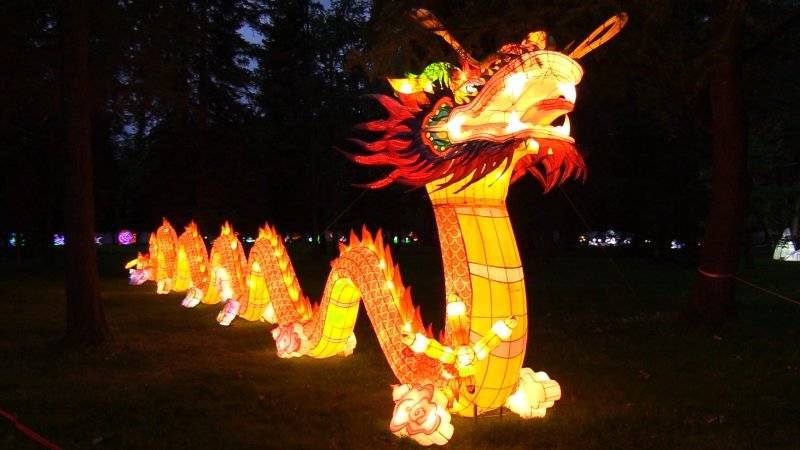 Петербуржцев приглашают на фестиваль гигантских китайских фонарей