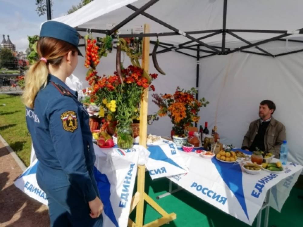 МЧС следило за безопасностью во время конкурса в Луге «Ветеранское подворье-2019»