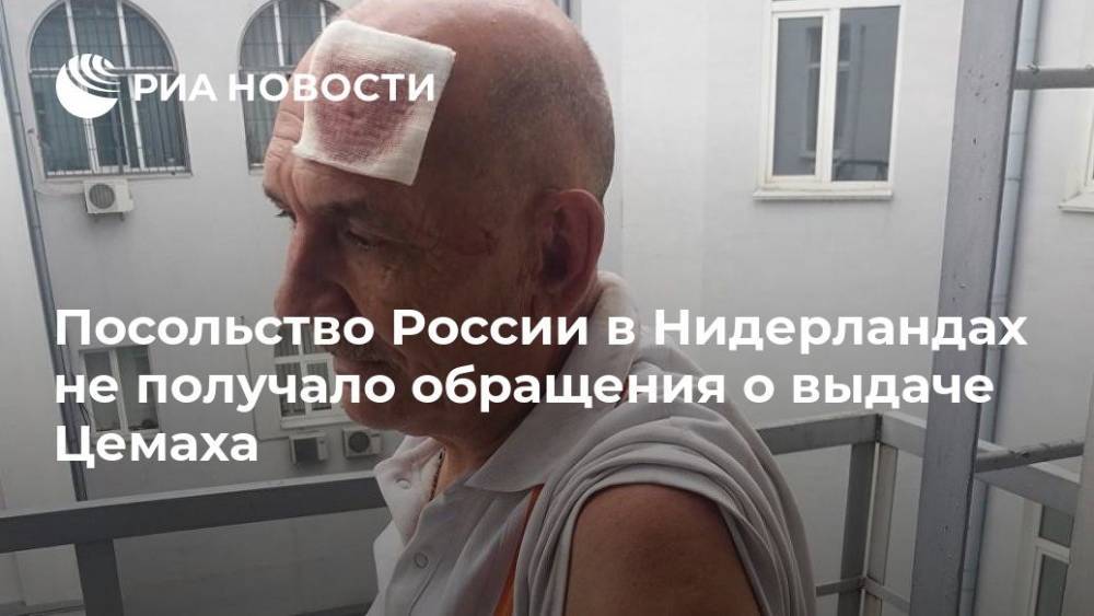 Владимир Цемах - Посольство России в Нидерландах не получало обращения о выдаче Цемаха - ria.ru - Россия - Украина - Париж - Голландия