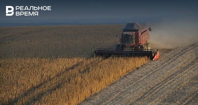 В Татарстане с 90% площадей собрано 3,8 млн тонн зерна нового урожая