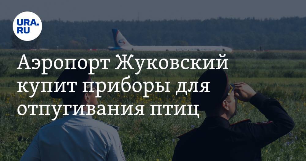 После посадки самолета «Уральских авиалиний» в поле аэропорт Жуковский купит приборы для отпугивания птиц