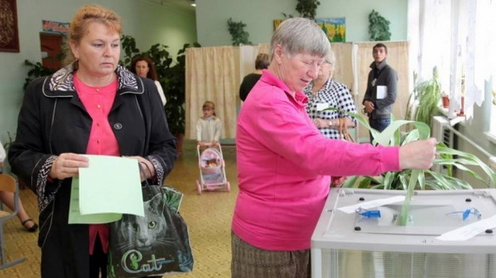 Явка на выборах губернатора Петербурга в Ленобласти составила 64,16%