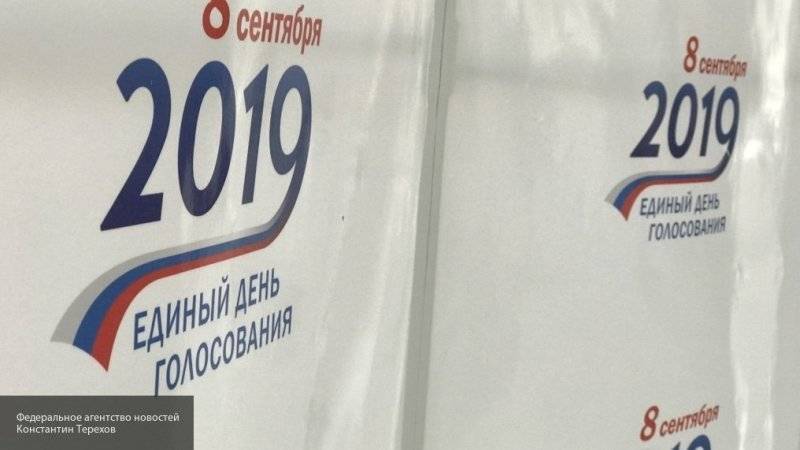 Член ОП РФ сообщил о жалобах наблюдателей из Хабаровского края на ЛДПР и Фургала