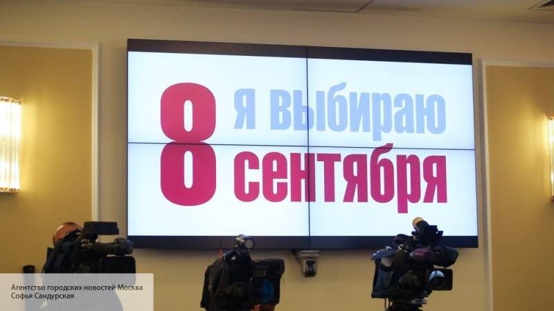Эксперт назвал основные факторы, повлиявшие на явку в Петербурге