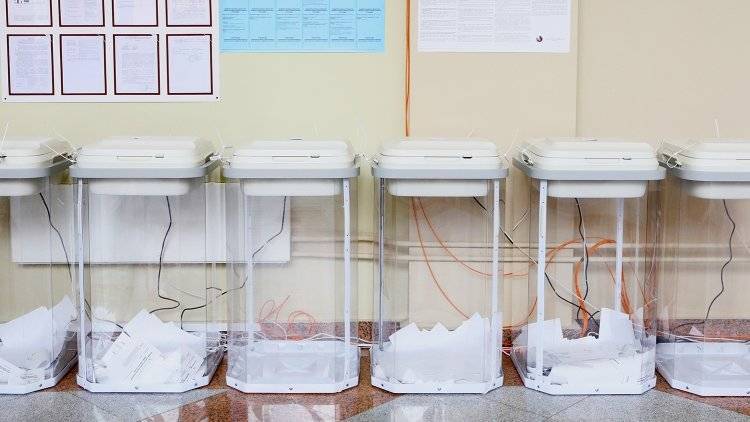 Эксперт рассказал, какие факторы отразились на явке избирателей в Петербурге