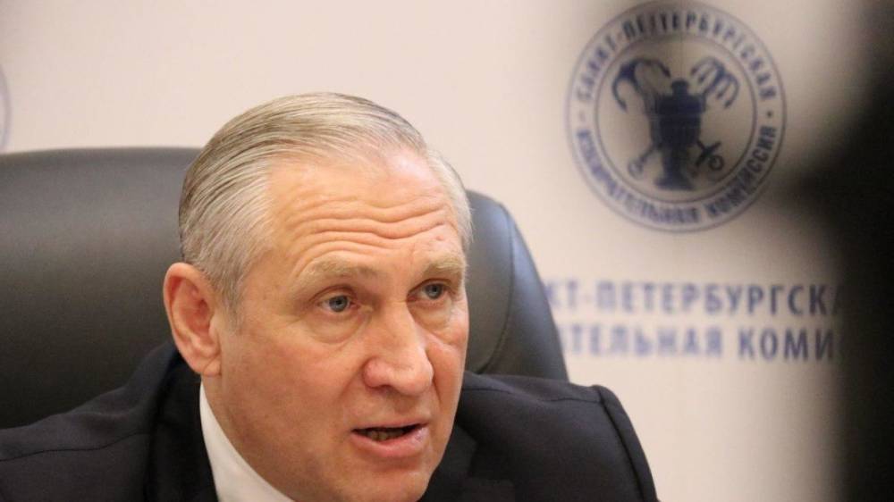 Миненко заявил об отсутствии серьезных нарушений на выборах губернатора Петербурга