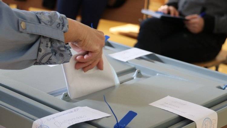 Горизбирком на выборах в Санкт-Петербурге зафиксировал 181 жалобу