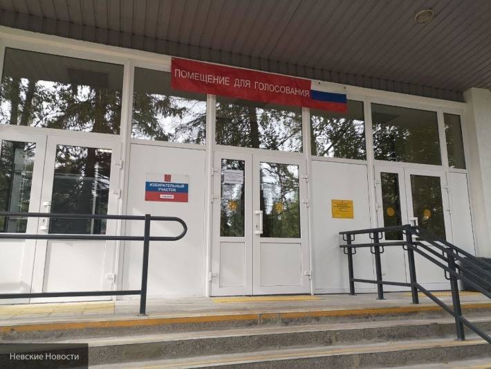 Кандидат от ЛДПР подтвердила, что подкупа избирателей на Васильевском острове не было