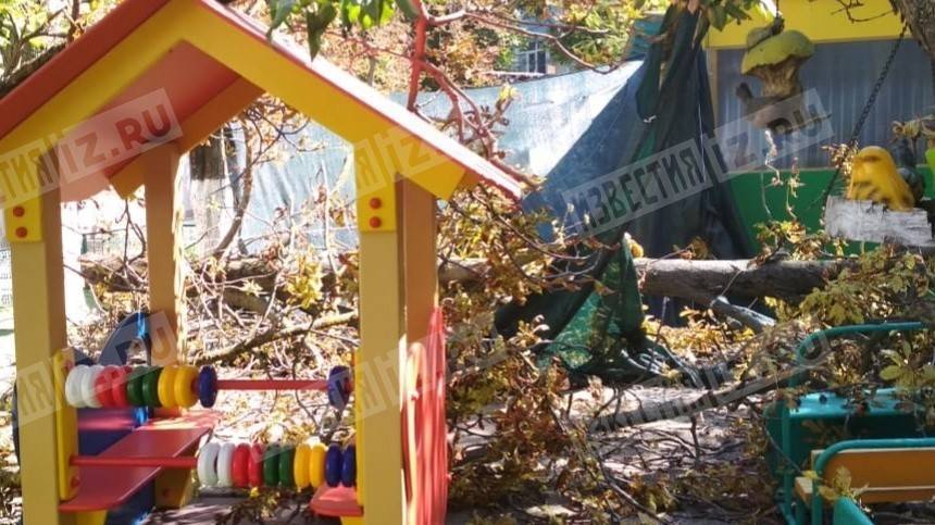 Скончался один из малышей в Краснодаре после падения дерева в детском саду