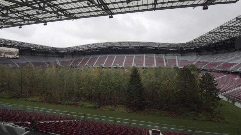 30-тысячный стадион под лес: в Австрии футбольное поле засадили деревьями