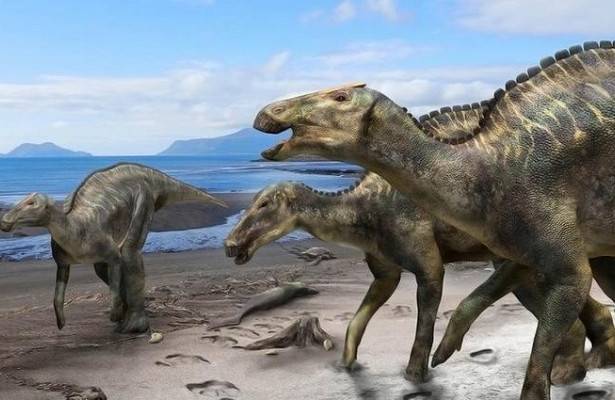 Ученые нашли новый вид гадрозавров