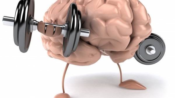 Медики назвали продукты, улучшающие работу мозга