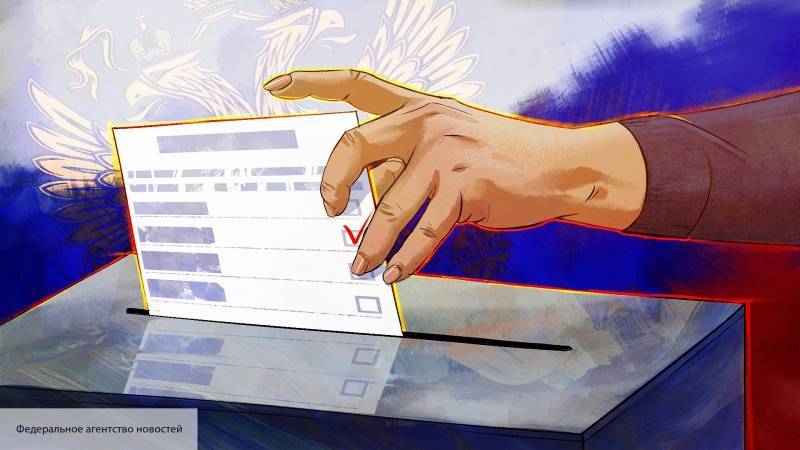 Наблюдатели корпуса «За чистые выборы» положительно оценили проведение голосования в СПб
