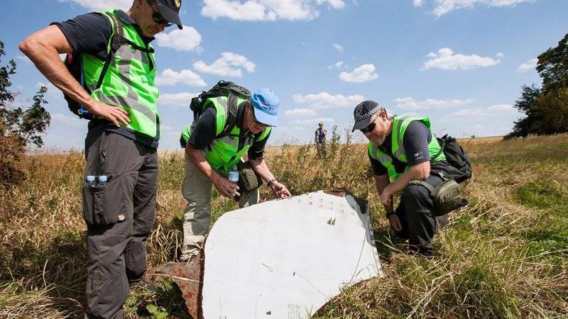 Немецкий детектив готов назвать имена виновных в крушении MH17
