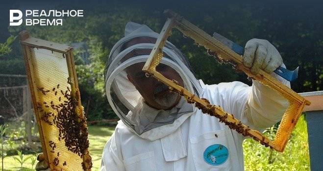 Башкирия презентует Уфу пчеловодам всего мира в Канаде