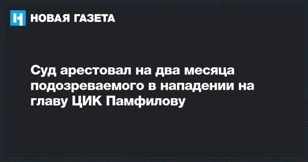 Суд арестовал на два месяца подозреваемого в нападении на главу ЦИК Памфилову