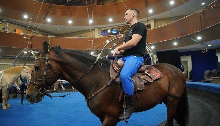 Медведев утвердил правила обращения с животными в цирках и зоопарках