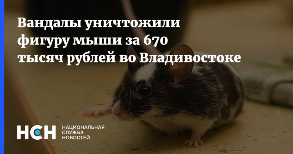 Вандалы уничтожили фигуру мыши за 670 тысяч рублей во Владивостоке