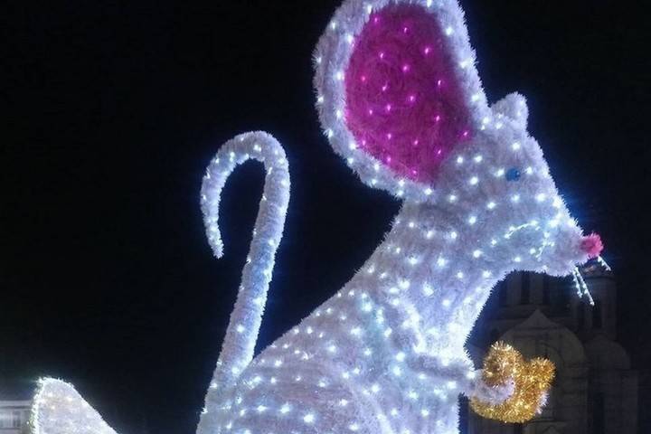Во Владивостоке в новогоднюю ночь сгорел символ года за 677 тысяч рублей