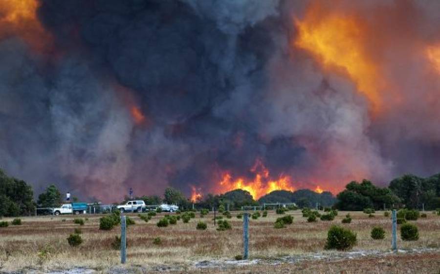 В Австралии число погибших от пожаров достигло 17 человек