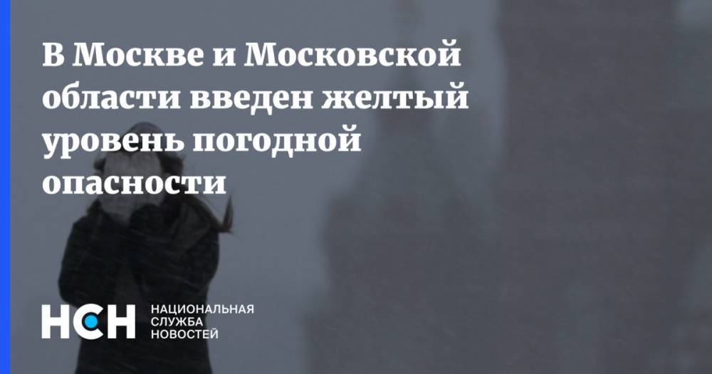 В Москве и Московской области введен желтый уровень погодной опасности