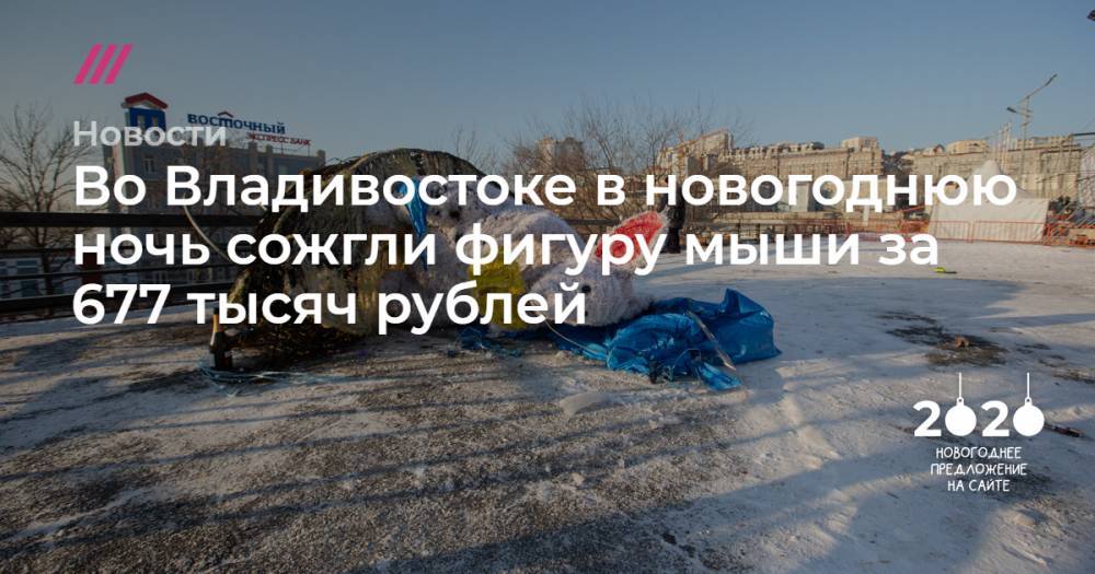 Во Владивостоке в новогоднюю ночь сожгли фигуру мыши за 677 тысяч рублей