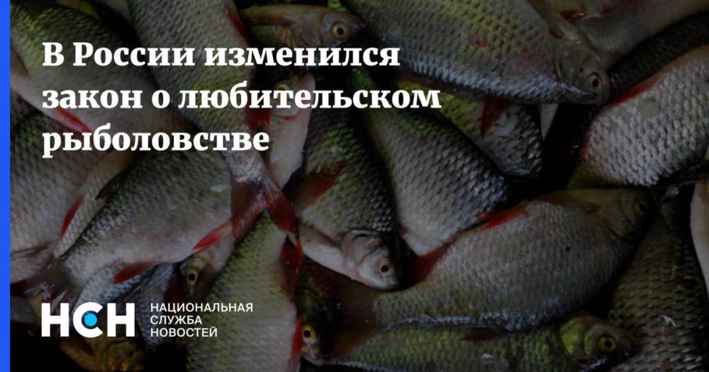 В России изменился закон о любительском рыболовстве